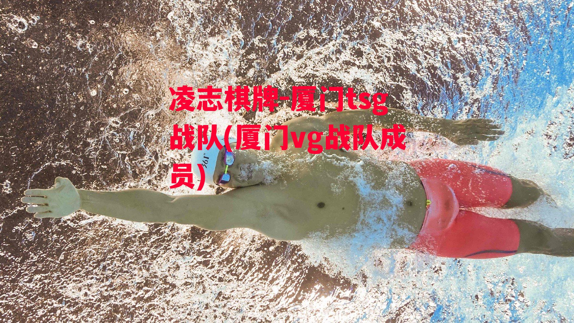 厦门tsg战队(厦门vg战队成员)