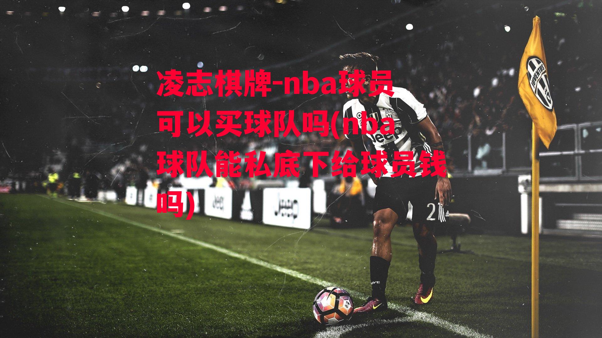 nba球员可以买球队吗(nba球队能私底下给球员钱吗)